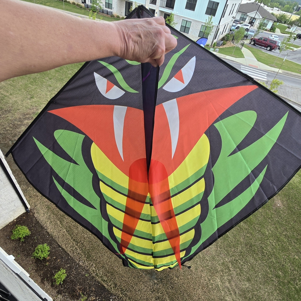 Vibrant Snake Kite